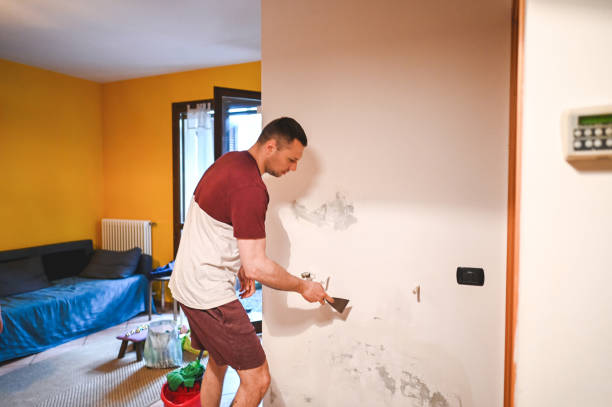 Best Mold Cleaning Services  in Elsa, TX